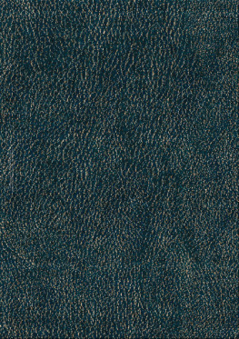 Noble Skin 11699-leather peak - handgefertigter Teppich,  tibetisch (Indien), 100 Knoten Qualität